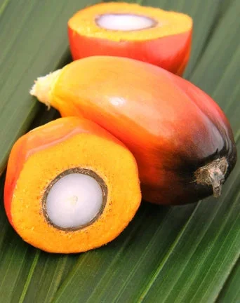 Organic Palm Oil
