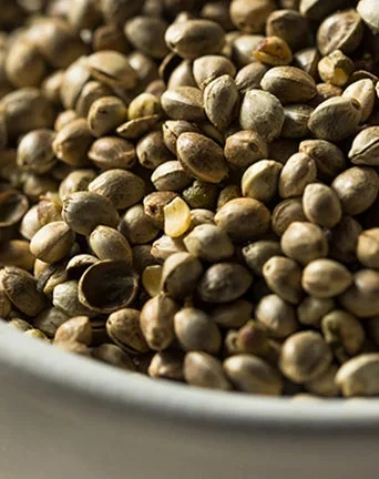 Organic Hemp Oil