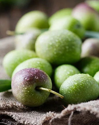 Organic Olive Oil